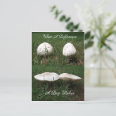 Carte Postale Quelle différence par jour fait (Debout devant)