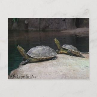 Carte Postale Quelle journée parfaite