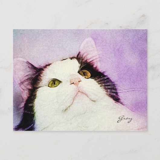 Carte Postale Quelle souris ? (Devant)