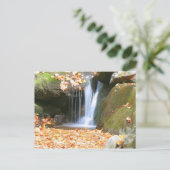 Carte Postale Quelque chose de différent (Debout devant)