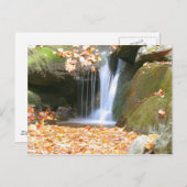 Carte Postale Quelque chose de différent (Devant / Derrière)