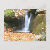 Carte Postale Quelque chose de différent (Devant)