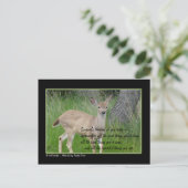 Carte Postale Quelqu'un pense à toi... (Debout devant)