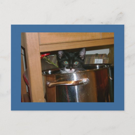 Carte Postale Qu'est-ce que Cookin ? (Devant)