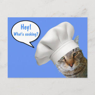 Carte Postale Qu'est-ce que la Cuisine ? Chef Cat