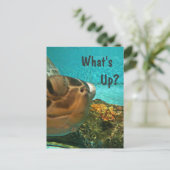 Carte Postale Qu'est-ce que la tortue Selfie (Debout devant)