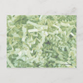 Carte Postale Qu'est-ce que le papier photo vert froissé et déch (Dos)