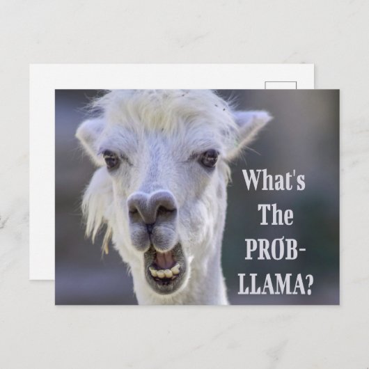 Carte Postale Qu'est-ce que le Prob-Llama ? Jote Drôle LLAMA (Devant / Derrière)