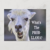 Carte Postale Qu'est-ce que le Prob-Llama ? Jote Drôle LLAMA (Devant)