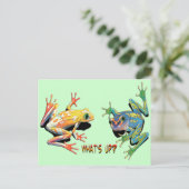 Carte Postale Qu'est-ce que les grenouilles (Debout devant)