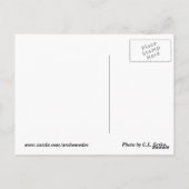 Carte Postale Qu'est-ce que Life ? (Dos)