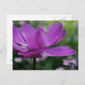 Carte Postale Qu'est-ce que tu caches ? (Devant / Derrière)