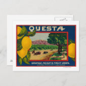 Carte Postale Questa Lemon LabelCorona, CA (Devant / Derrière)