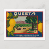 Carte Postale Questa Lemon LabelCorona, CA (Devant)