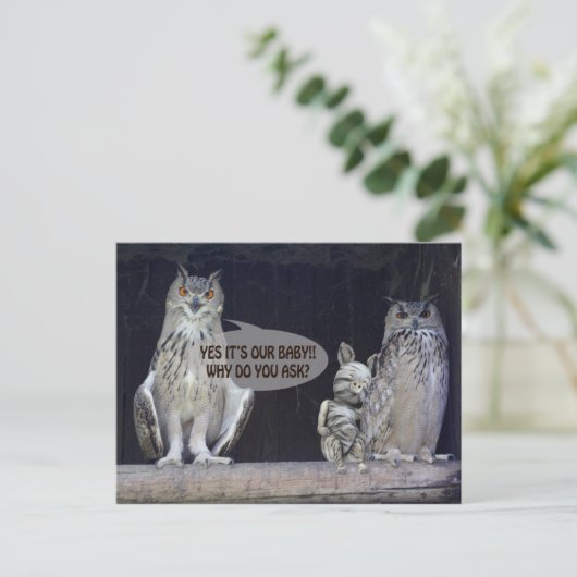 Carte Postale Question stupide (Debout devant)