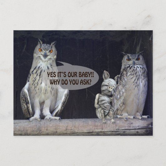 Carte Postale Question stupide (Devant)