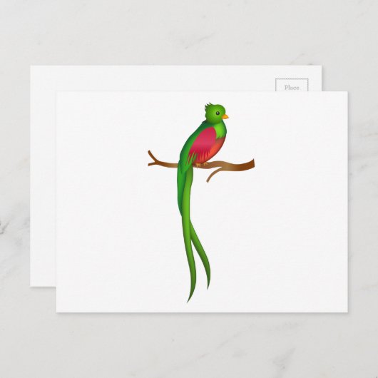 Carte Postale Quetzal (Devant / Derrière)