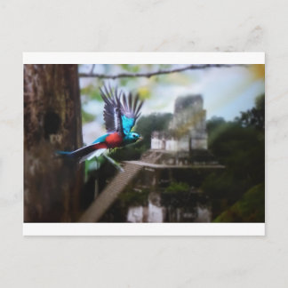 Carte Postale Quetzel à Tikal