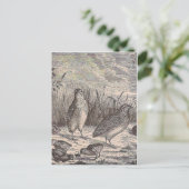 Carte Postale Queue (Debout devant)