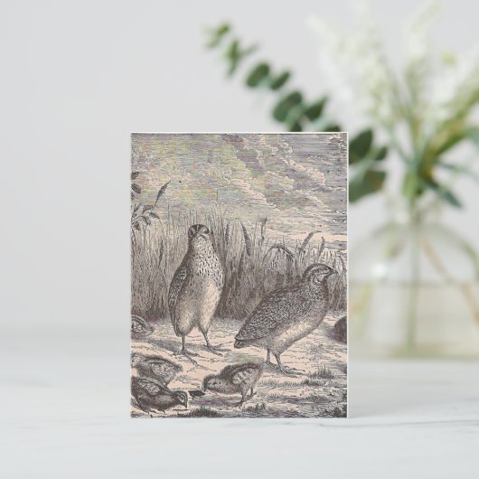 Carte Postale Queue (Debout devant)