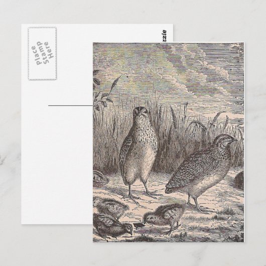 Carte Postale Queue (Devant / Derrière)