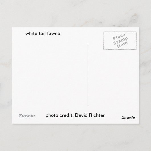 Carte Postale Queue blanche ouverte (Dos)