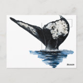 Carte Postale Queue de baleine (Dos)