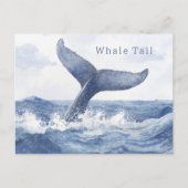 Carte Postale Queue de baleine de l'océan bleu (Devant)