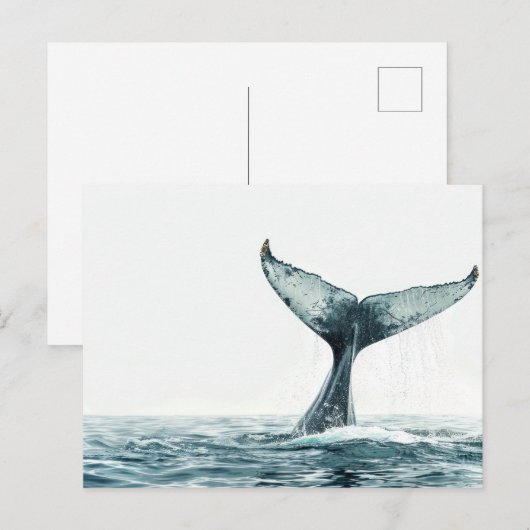 Carte Postale Queue de baleine sortant de l'océan Petit (Devant / Derrière)