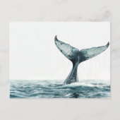 Carte Postale Queue de baleine sortant de l'océan Petit (Devant)