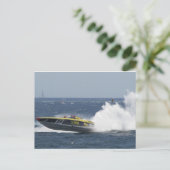 Carte Postale Queue de coq (Debout devant)