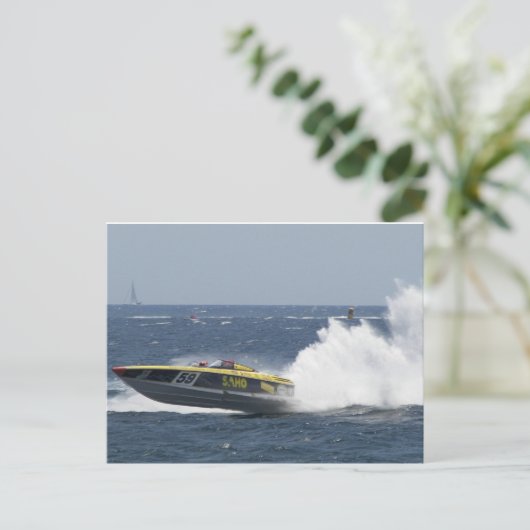 Carte Postale Queue de coq (Debout devant)