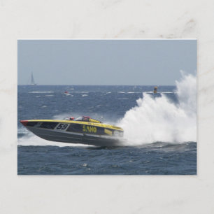 Carte Postale Queue de coq