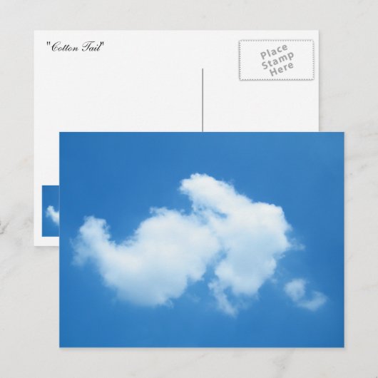 Carte Postale Queue de coton (Devant / Derrière)