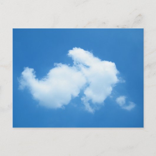 Carte Postale Queue de coton (Devant)