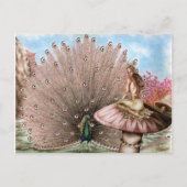 Carte Postale Queue de tournage (Devant)