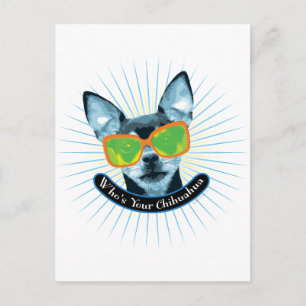 Carte Postale Qui est ton Chihuahua ?