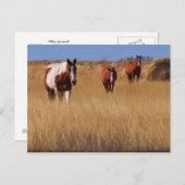 Carte Postale Qui êtes-vous ? (Devant / Derrière)