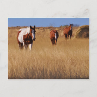 Carte Postale Qui êtes-vous ?