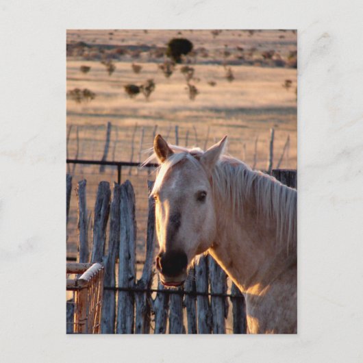 Carte Postale Qui Moi ? (Devant)