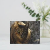 Carte Postale Qui Moi ? (Debout devant)