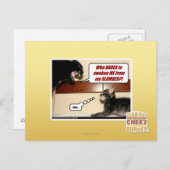 Carte Postale Qui ose me réveiller ? (Devant / Derrière)