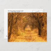 Carte Postale Qui Sait Où Le Chemin Mène ? (Devant / Derrière)