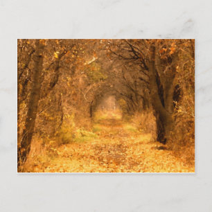 Carte Postale Qui Sait Où Le Chemin Mène ?