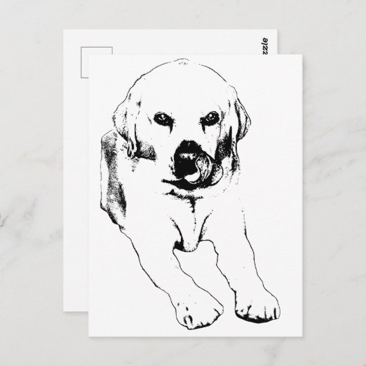 Carte Postale Quick hello from a Lab (Devant / Derrière)