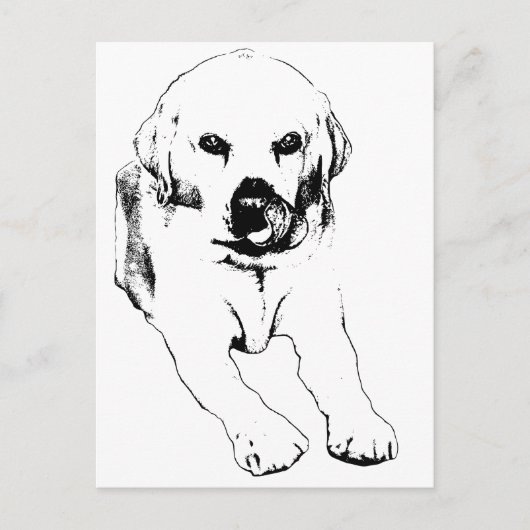 Carte Postale Quick hello from a Lab (Devant)