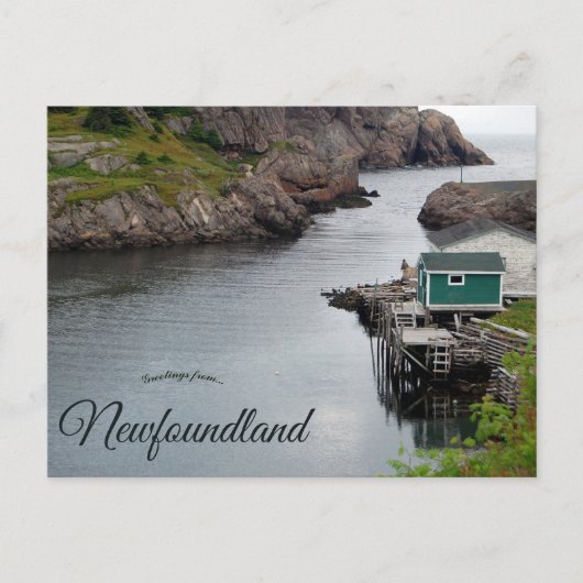 Carte Postale Quidi Vidi Newfoundland Canada (Devant)