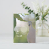 Carte Postale Quiet Bird Moment – Let the Day Unfold Dove (Debout devant)
