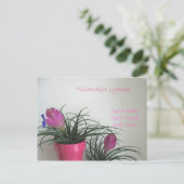 Carte postale Quill Rose Kindly (Debout devant)