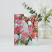 Carte Postale Quince blossoms (Debout devant)
